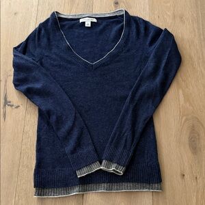 Banana Republic Deep Blue V-Neck Sweater